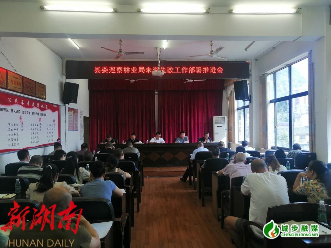 城步林业局召开县委巡察未巡先改工作部署推进会_邵阳头条网